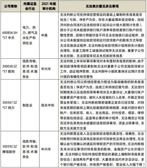 怎么查上市公司的标准审计报告年份