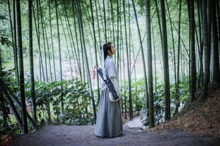 空山听雨,轻吟采竹