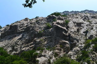 嵩山少林一日游 嵩山游记攻略 