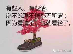 22.5.22励志语录-22周岁生日发朋友圈的句子励志？