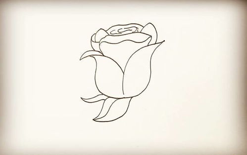 玫瑰花怎么画 一步一步,一束手捧玫瑰花的简笔画？