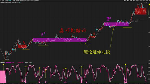 中信证券08年4月23日至24日为什么股价下来那么多