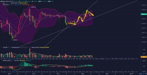 BTC今日行情,btc今日行情 比特币价格