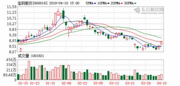 宝山钢铁股份有限公司的公司上市