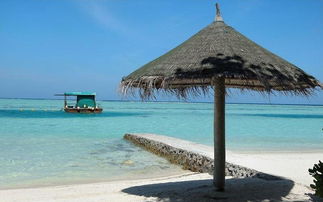 马尔代夫白金岛有哪些精彩景点值得一去（马代白金岛怎么样）