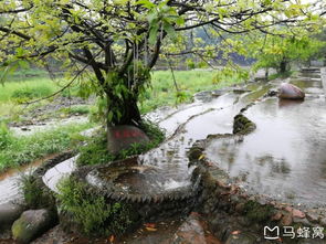 烟雨柳江 一个人的如烟之旅