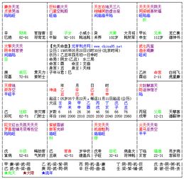 求解紫微斗数星盘 