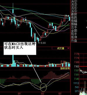 谁是股票老手？教教我怎样炒股…