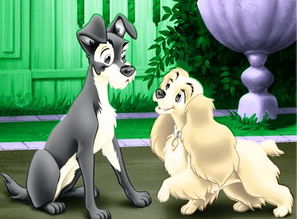 迪士尼的一部动画是写两个狗的爱情的动画片