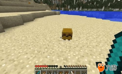 第四个来了 我的世界Minecraft新下界生物曝光