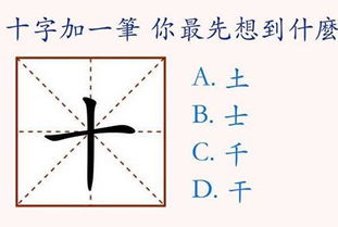 在 十 字上加一笔,你最先想到什么字