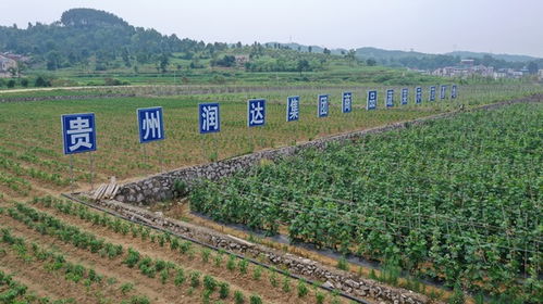 贵州黔东南岑巩水尾镇