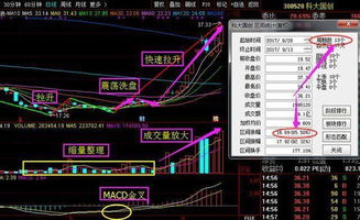 有知道 无马TV 股票频道首页地址？ 新网民不会找。