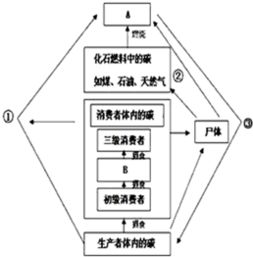 生物系统指在什么内?