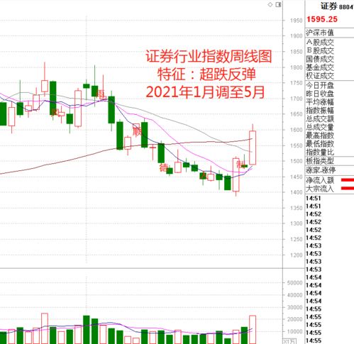 股市持续下跌是否有抄底机会 揭秘如何提前