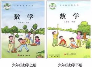 苏教版小学六年级数学课本是什么样子 