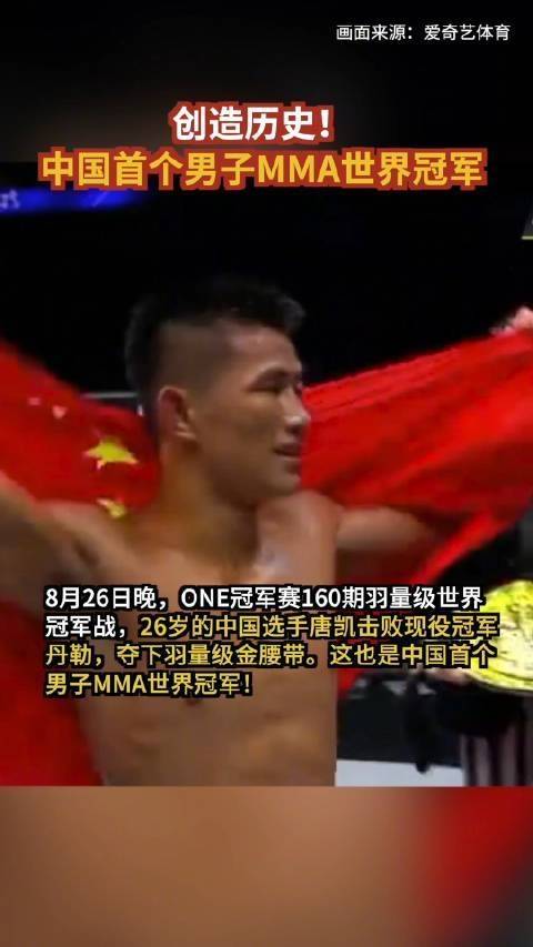 中国人mma世界*成龙垫底 十大动作*究竟谁最能打