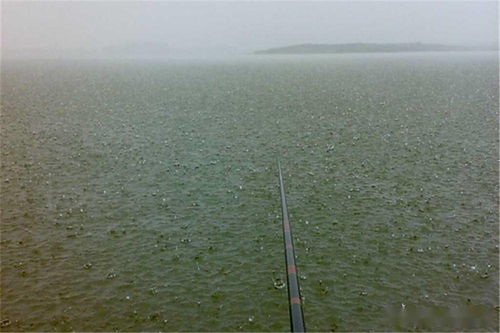 夏季宜钓下雨天,雨天钓鱼套路多,就用这些方法,不愁钓不到鱼