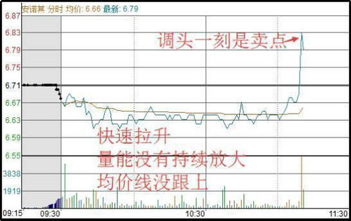 终于有人把A股不敢说的话说出来了 主力如何利用 T 1 规则来坑害散户 作为投资者你怎么看