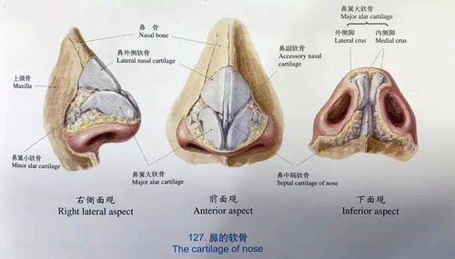 挖鼻屎一时爽,一直挖一直爽