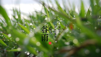 谷雨是什么季节 谷雨节气的由来 