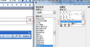 罗马数字,阿拉伯数字,页码,毕业论文