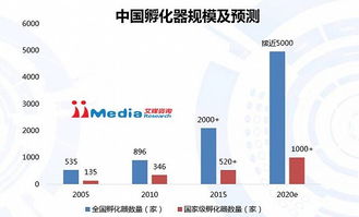 国联水产上半年营收达26.97亿元，全球供应链优势更强化