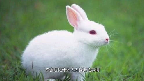最好命 的属兔人出生在哪几月 生来吉星护命,从小到老不愁吃穿 