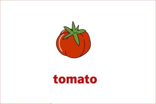 番茄英语