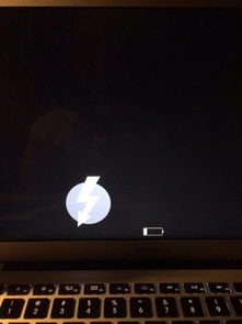 想问一下我的mac电脑变成了这样要怎么办,现在按关机键也没有用 