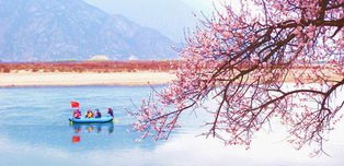 第十一届林芝桃花文化旅游节三月将盛大开幕 
