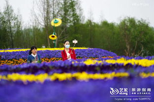 烟花三月下扬州,赴一场环球魔幻的花海之旅