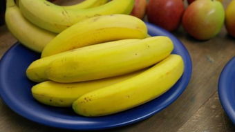 你和猪之间只差十把香蕉 人类与香蕉基因相似度达50