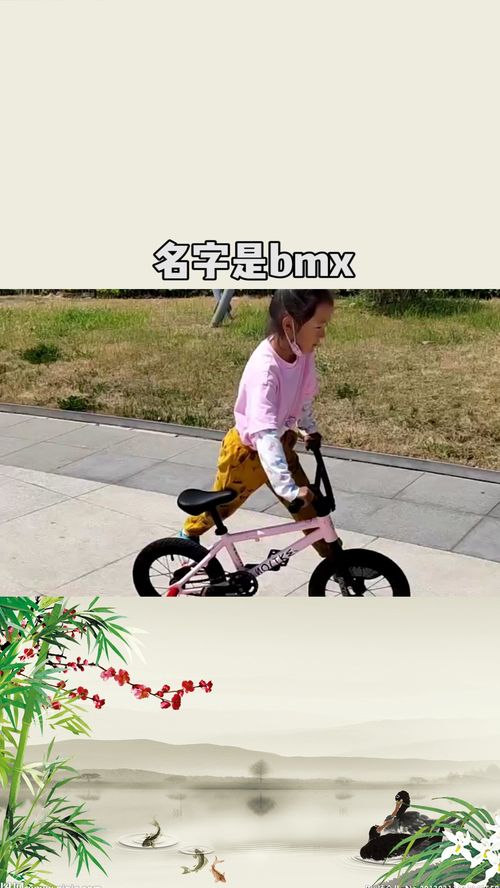 车子名字是bmx,也叫小轮车 