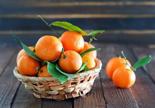 胃不好能吃橘子吗 医生 胃不好的人,6种食物建议常吃