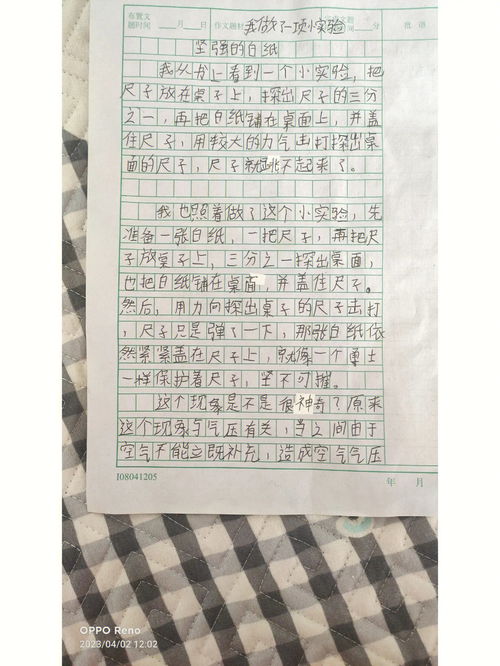 实验作文300字左右(三年级小实验写作文350字)