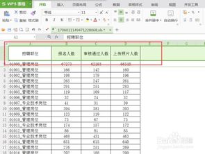 WPS表格如何设置筛选并进行筛选操作