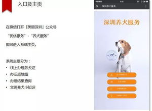 微信也能办犬证了 深圳城管 养犬服务平台 上线