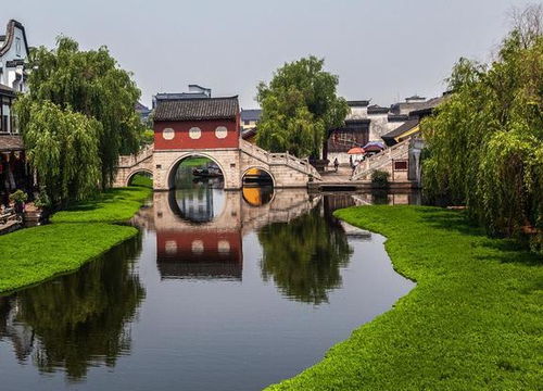 河南夏天避暑最佳旅游地,避暑旅游推荐郑州吗(河南避暑旅游景点排行榜)