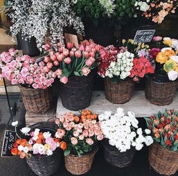 花店里有哪些花,花店什么花好看？