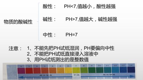 1.2物质的酸碱性 7张PPT 