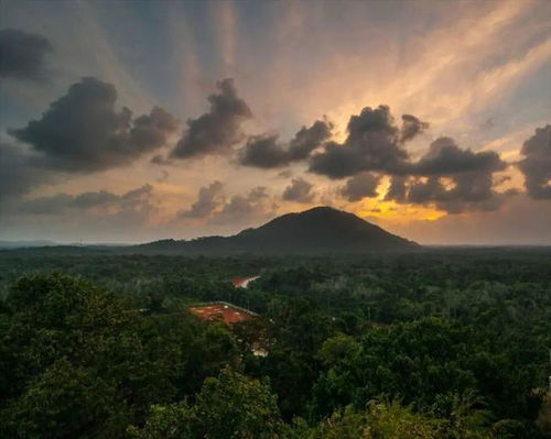 想隐居山林 de Bintan Villa满足你