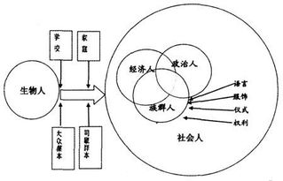 虹野 学校的 围墙 ,学生社会化的风险