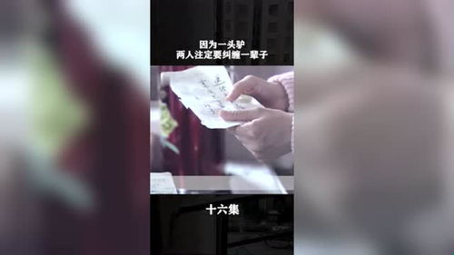 养父的花样年华第十五集 因为一头驴,两人注定要纠缠一辈子 