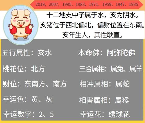 2020年下半年财运爆发,出门遇贵人,即将被命运眷顾的3生肖