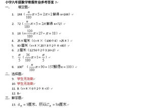 六年级上册数学寒假作业答案