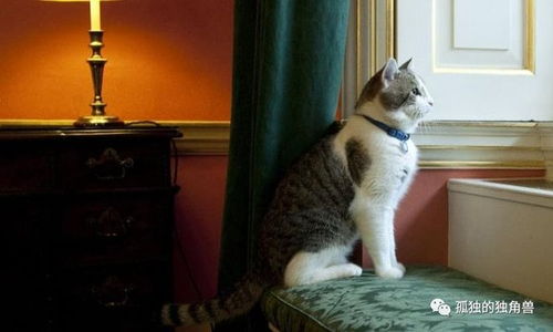 伦敦猫党 从大英博物馆到首相府邸,你不能不认识的几位伟大猫猫