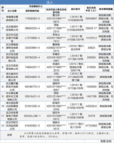 中国执行信息网怎么查询失信(中国人民法院执行查询)