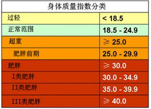 去美国看病 指出肥胖与11种癌症密切相关 