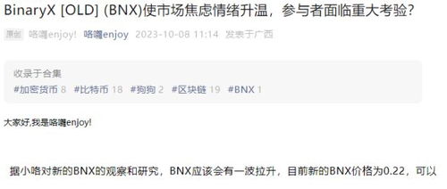 BinaryX [OLD] (BNX)使市场焦虑情绪升温，参与者面临重大考验？